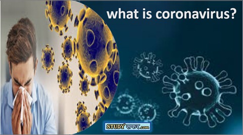 Coronavirus Important Questions in Hindi