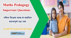 Ganit Pedagogy Important Questions for MP TET 2020