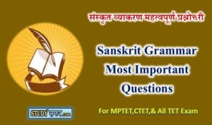 Sanskrit Vyakaran Important Question for MP TET 2020