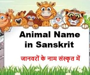 Human Body Parts Name In Sanskrit Studysafar