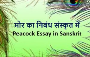 essay on peacock in sanskrit