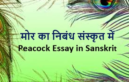 Essay on Peacock
