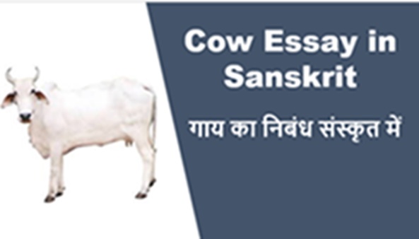 Cow Sanskrit Eassy