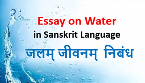 Essay on Water