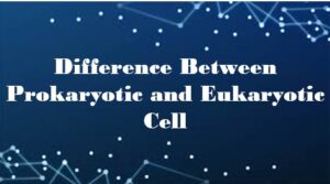 Difference Between Prokaryotic and Eukaryotic Cell || for Class 9