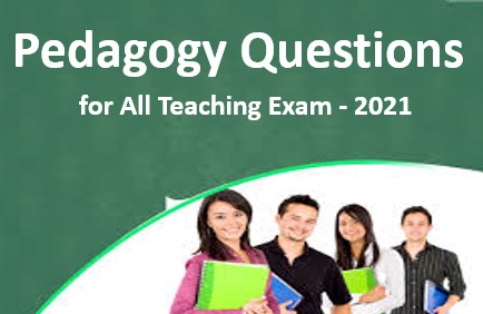 Pedagogy Questions in Hindi