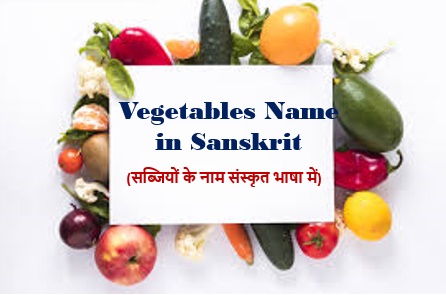 Vegetables Name