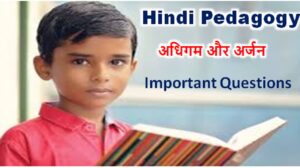 CTET Hindi Pedagogy 2021 pdf Download