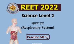 REET Level 2: राजस्थान रीट परीक्षा के लिए विज्ञान के अंतर्गत 'स्वसन तंत्र' पर आधारित इन महत्वपूर्ण प्रश्नों पर डालें एक नजर
