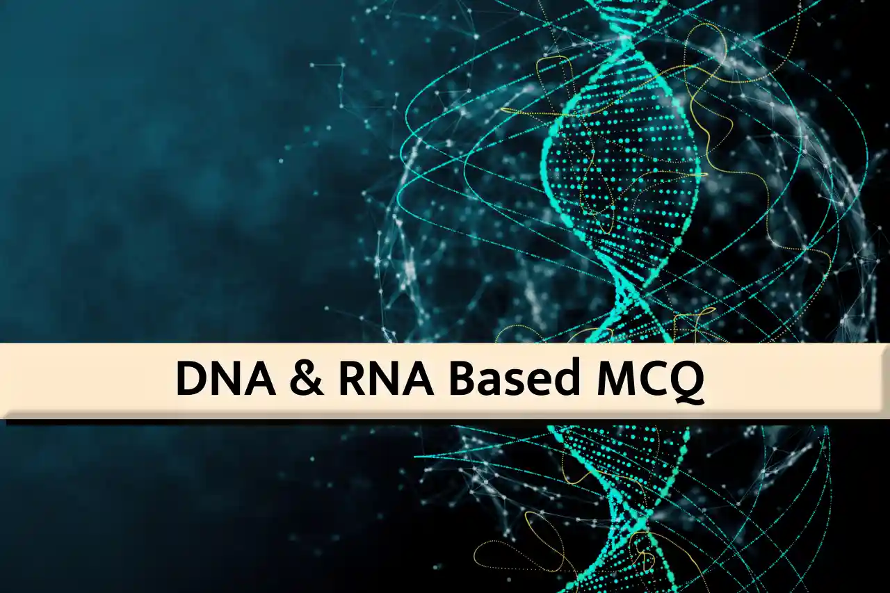 DNA and RNA Questions and Answers