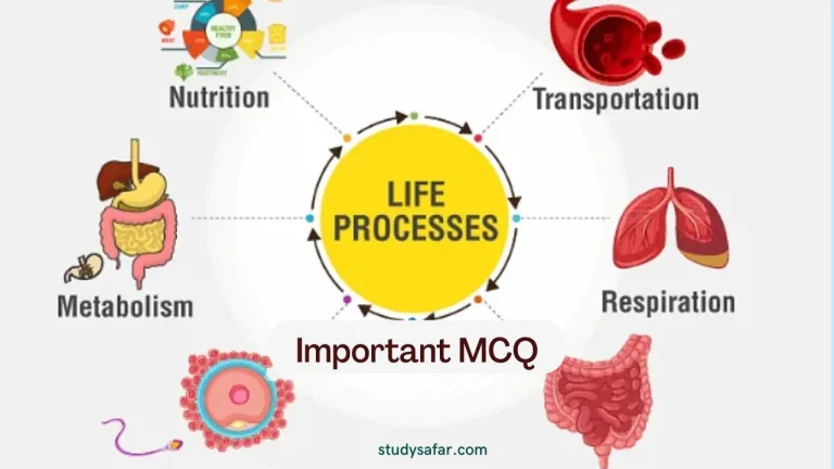 MCQ on Life Process For RRB Group D