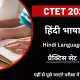 CTET Hindi Language Practice Set