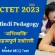 CTET Hindi Pedagogy MCQ on Aabhivaykti