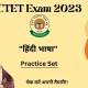 Hindi Practice Set For CTET Exam